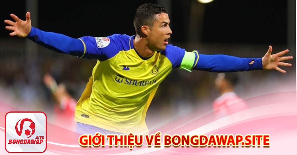 Giới thiệu về bodawap.site- Trang wep uy tín hàng đầu tại Chấu Á 5 Giới thiệu về bongdawwap.site