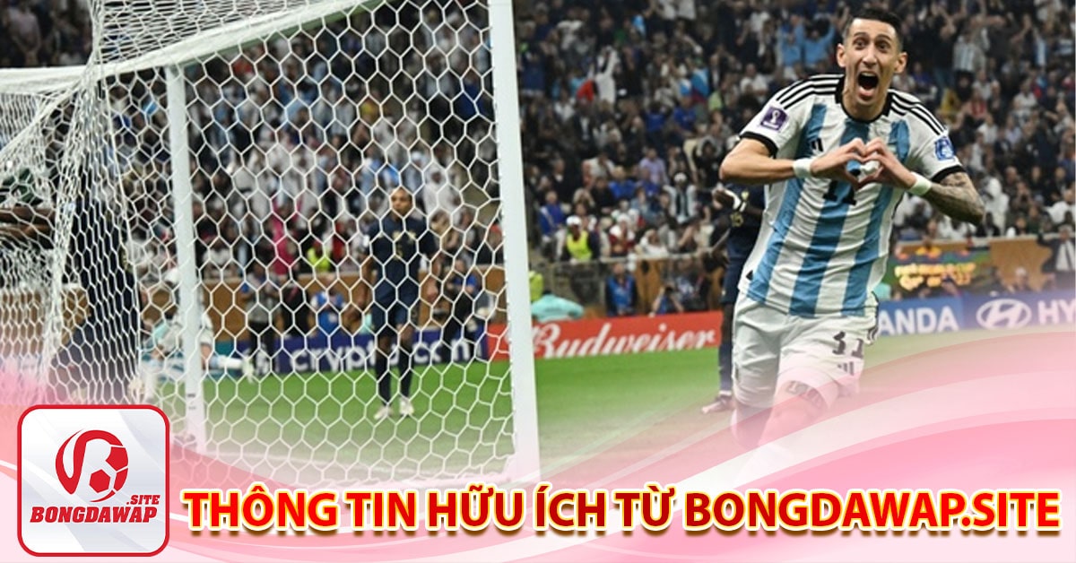 Giới thiệu về bodawap.site- Trang wep uy tín hàng đầu tại Chấu Á 8 Thông tin hữu ích