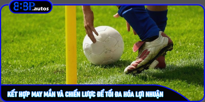 Kết hợp may mắn và chiến lược để tối đa hóa lợi nhuận